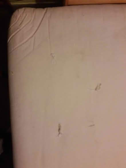 Photo of free Futon mattress (Old Town East Fort Collins) #1