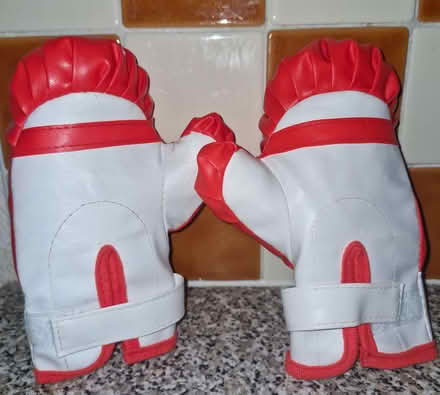 Photo of free Childs 1st boxing gloves (Woodhouse S13) #2
