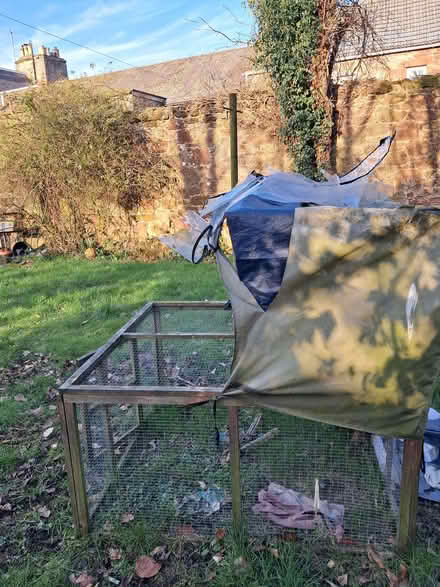 Photo of free Rabbit/Guinea pig hutch (Strathmiglo KY14) #2