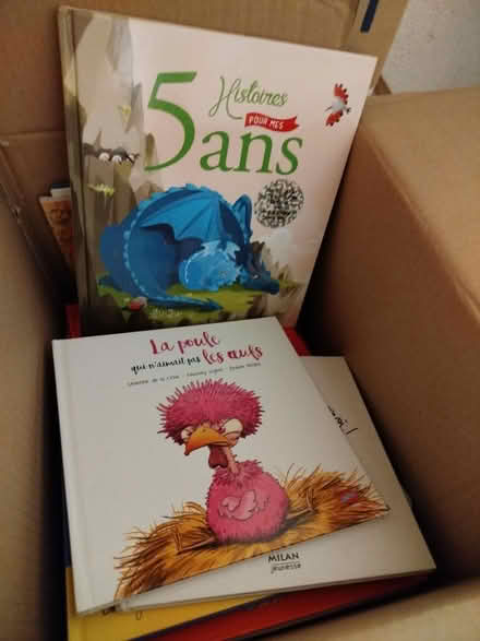 Photo of free Children books in French (BS34) #3