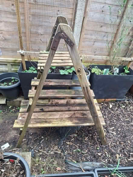 Photo of free Plant stand/storage (Cotteridge B30) #1