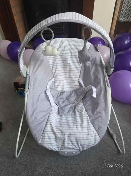 Photo of free Baby bouncer (LE19 Enderby) #2