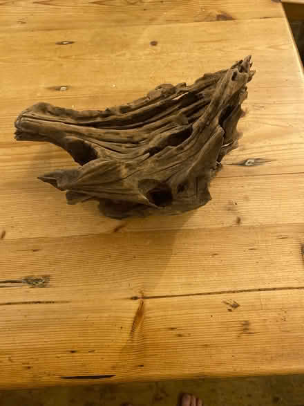 Photo of free Piece of wood (Emmer Green RG4) #1