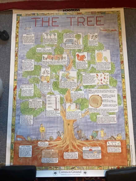 Photo of free Environmental Posters (Bear Flat) #2