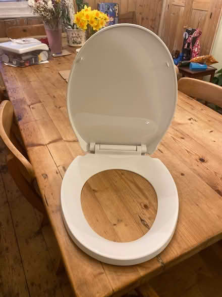 Photo of free Plastic toilet seat (Emmer Green RG4) #1