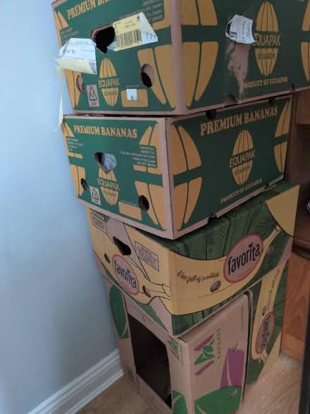Photo of free 5 sturdy banana boxes (South Bretton) #1