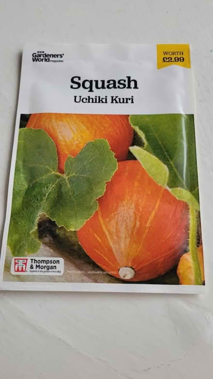 Photo of free New seeds for squash (chorley PR6) #1