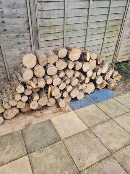 Photo of free Logs (Trowbridge BA14) #1