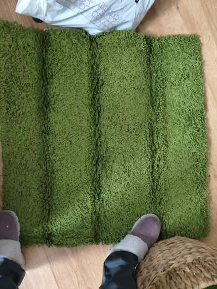 Photo of free Green rug (New Cross SE14) #1