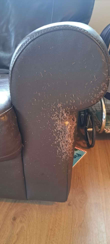 Photo of free 2 seater leather sofa (Kingswood Common HR5) #2