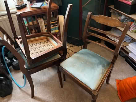 Photo of free Set of Dining Chairs (Ladywell SE13) #2