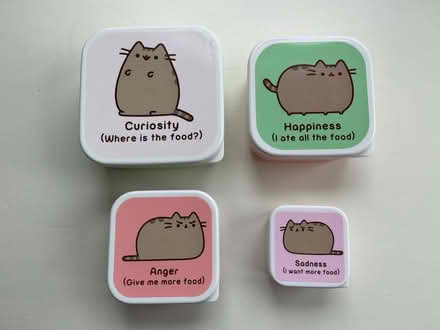Photo of free Set of 4 Pusheen Food Storage Boxes (BH21 7) #1