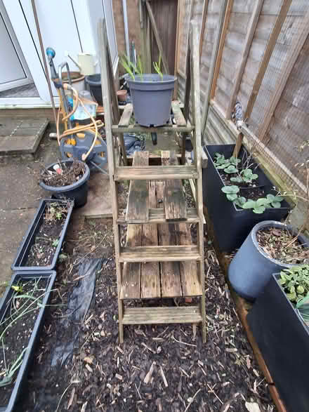 Photo of free Plant stand/storage (Cotteridge B30) #3