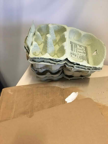 Photo of free egg boxes (Langwathby CA10) #1