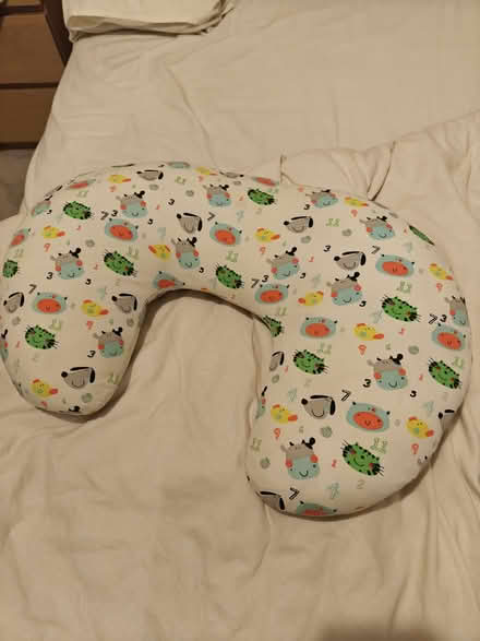 Photo of free Breast feeding pillow (Kennington OX14) #1