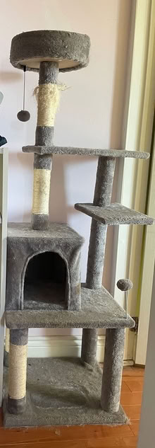 Photo of free Tall Cat Tree (Oakridge) #1