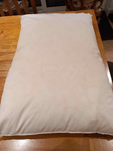 Photo of free Old feather pillow. (New Malden KT3) #1