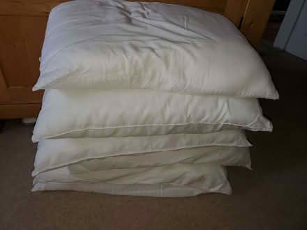 Photo of free 6 x white pillows (Moortown LS17) #1