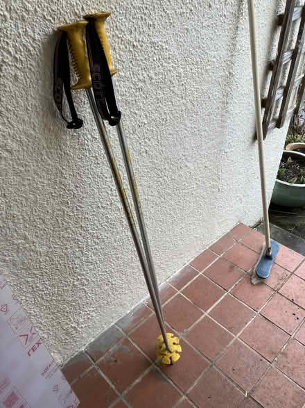 Photo of free pair of downhill ski poles 117 cm (Torbrex FK8) #1