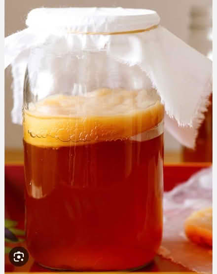 Photo of free Scobie for kombucha brewing (Chipping Sodbury BS37) #1