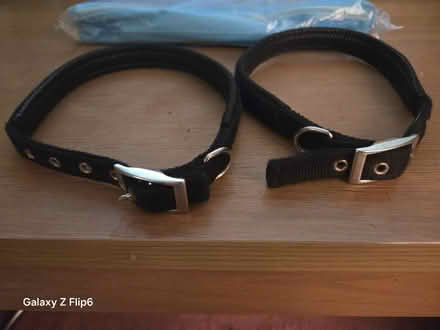 Photo of free 2x large dog collars (Erith DA8) #1