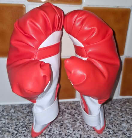 Photo of free Childs 1st boxing gloves (Woodhouse S13) #1