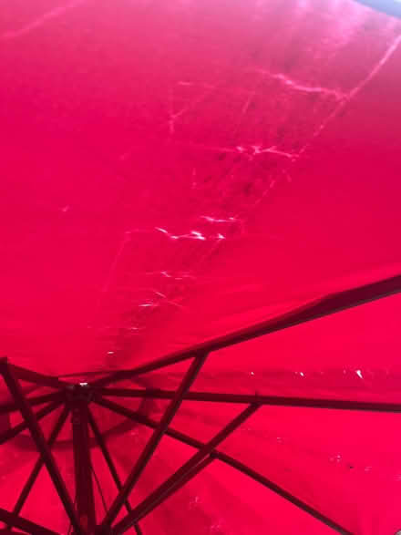 Photo of free 2.8 pink garden parasol (Lewes) #3