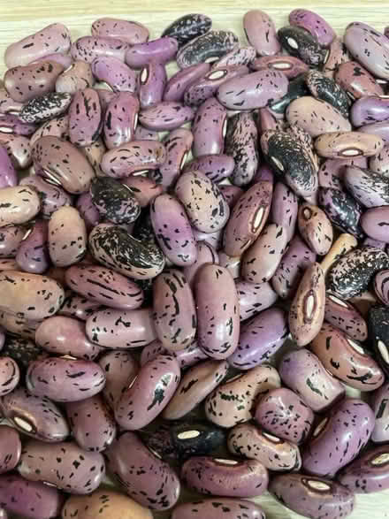 Photo of free 300g of Runner beans (Borough Green TN15) #1