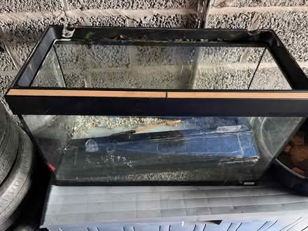 Photo of free Fishtank job lot (Bristol BS5) #1