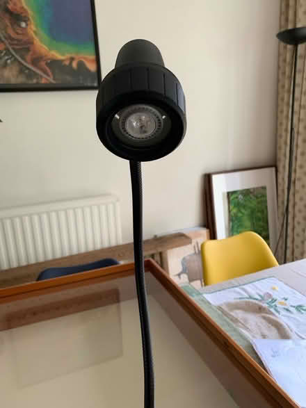 Photo of free 12v reading lamp (Curdridge SO32) #2