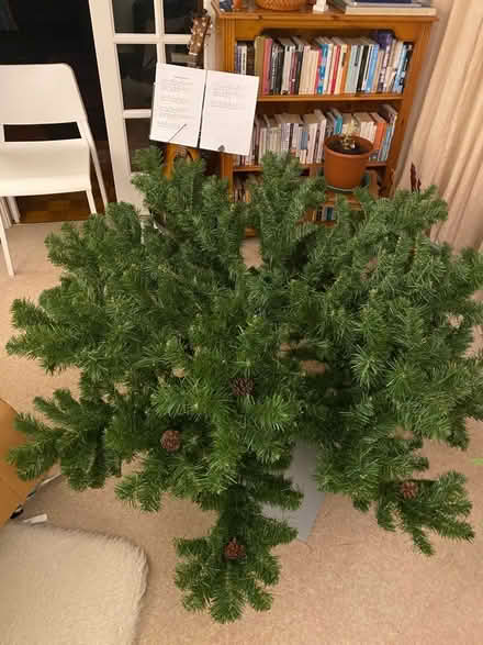 Photo of free Christmas tree (Maidenhead SL6) #4