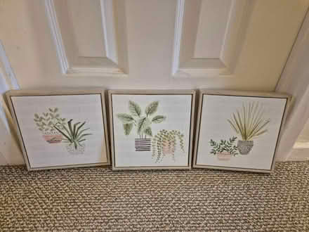 Photo of free Various canvas pictures (Drayton PO6) #4