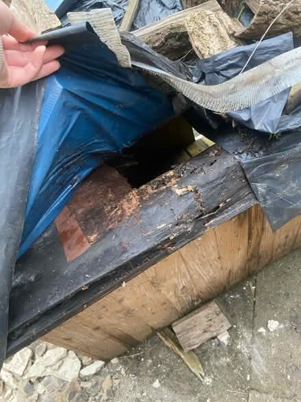 Photo of free dog/pet house - in need of tlc (LE18) #1