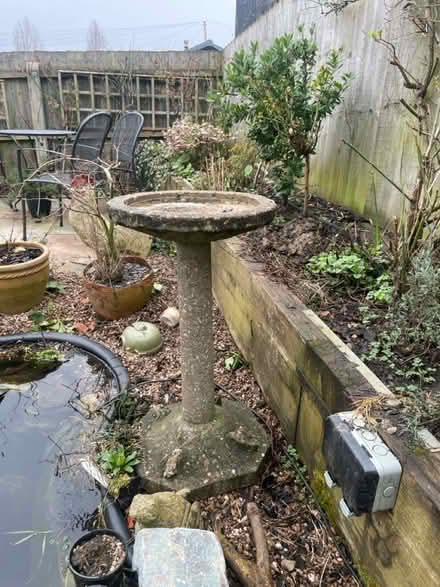Photo of free Concrete Bird Bath (Harrowby Lane Grantham) #1
