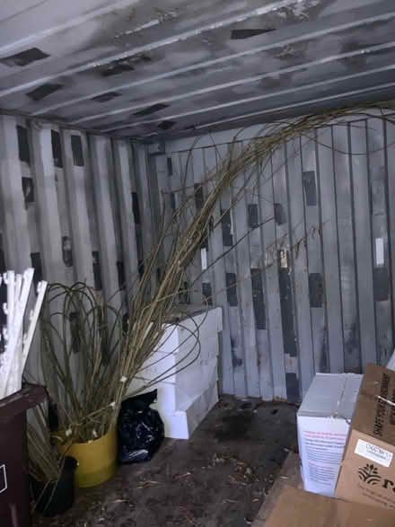 Photo of free Willow (white willow?) bundle (Blagden Street S2) #2