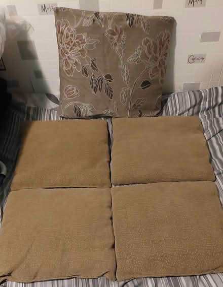 Photo of free 5 brown SOFA CUSHIONS (bramley LS13) #1