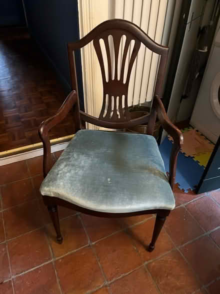 Photo of free Set of Dining Chairs (Ladywell SE13) #1