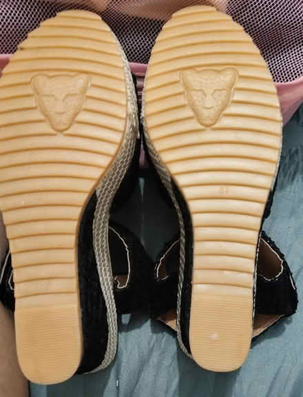 Photo of free Wedges (Willington Quay NE28) #1