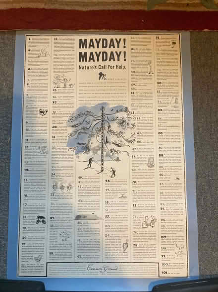 Photo of free Environmental Posters (Bear Flat) #1