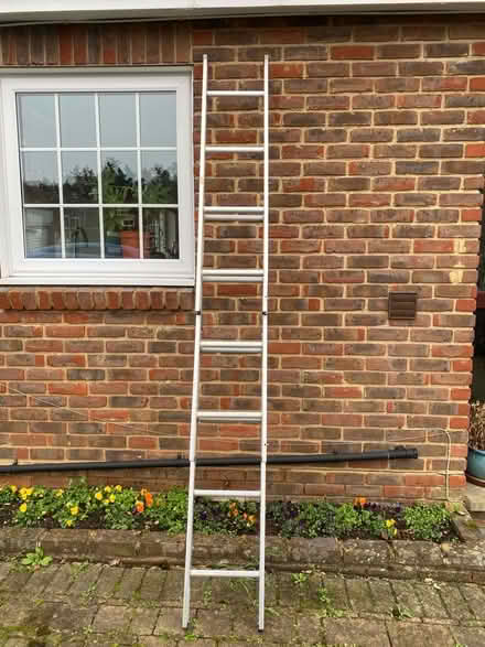 Photo of free Extendable ladder (Maidenhead SL6) #1