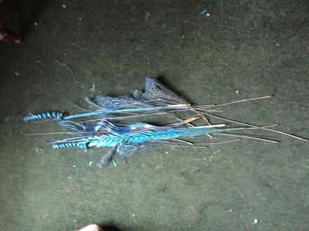 Photo of free bunch blue sparkly dried foliage (Sandbach Heath CW11) #1