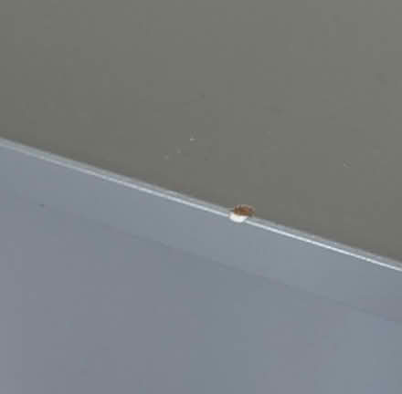 Photo of free Small bedside table (St Helens) #4