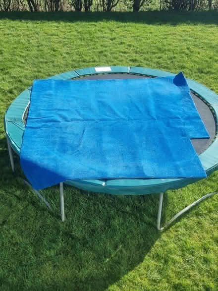 Photo of free Blue Carpet (Stannington, Sheffield S6) #1