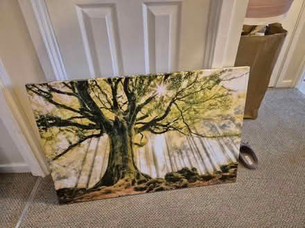 Photo of free Various canvas pictures (Drayton PO6) #1