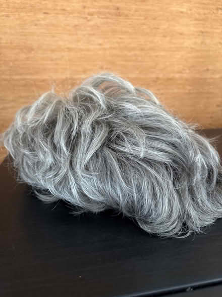 Photo of free Short gray wig and fringe (Ossining) #1