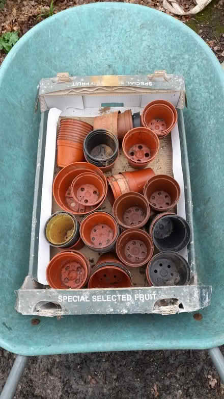 Photo of free Plant pots (plastic) (Market Bosworth CV13) #1