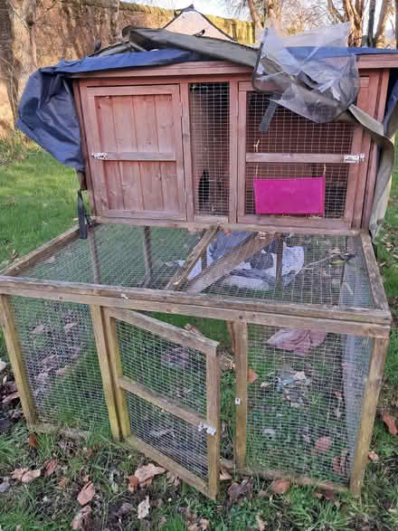 Photo of free Rabbit/Guinea pig hutch (Strathmiglo KY14) #1