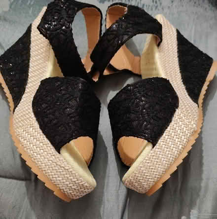 Photo of free Wedges (Willington Quay NE28) #2