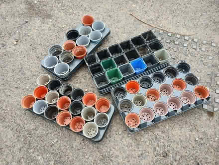 Photo of free Pots and Trays (Bratton) #1