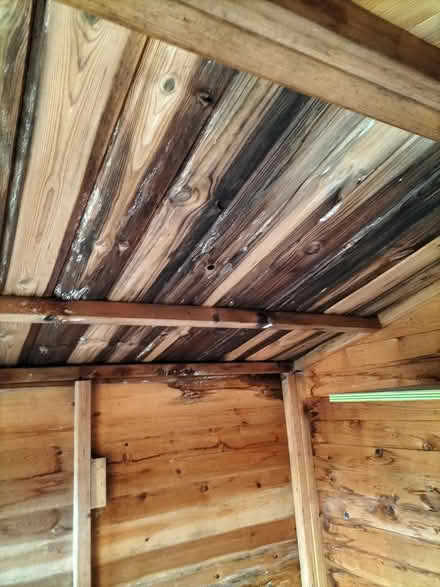 Photo of free Garden shed 6ft x 8ft (Wheldrake YO19) #3